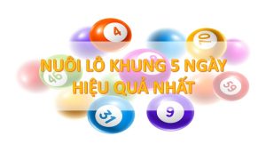bạch thủ lô kép khung 5 ngày
